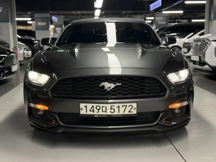 Mustang