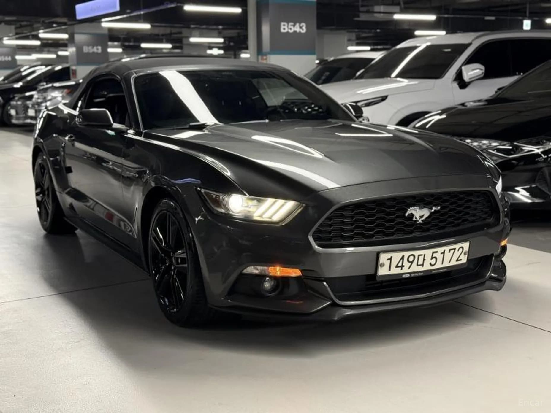 Mustang