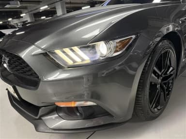 Mustang
