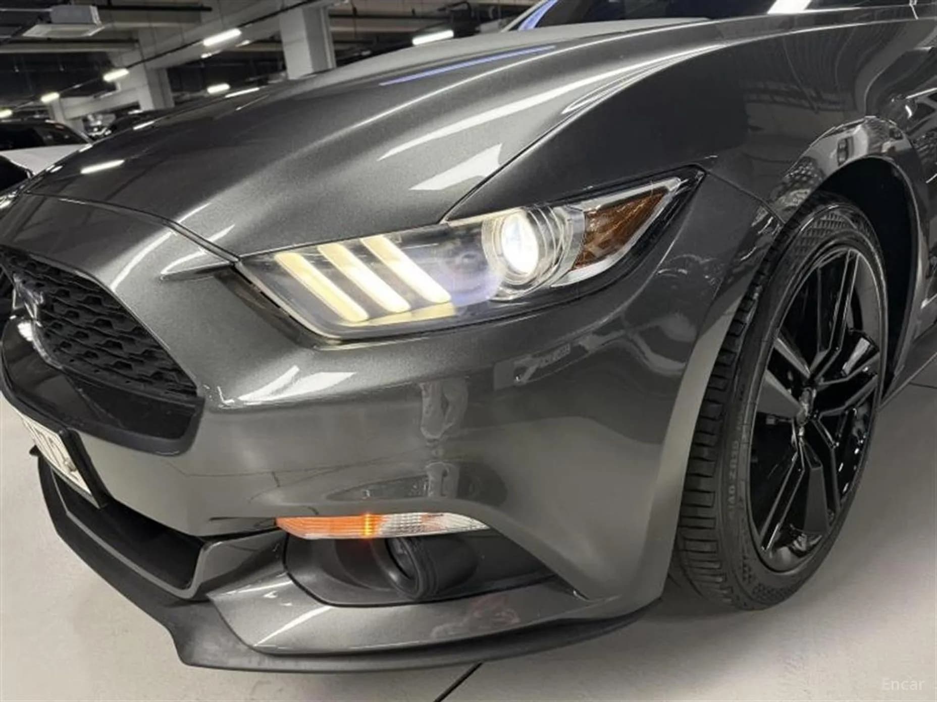 Mustang