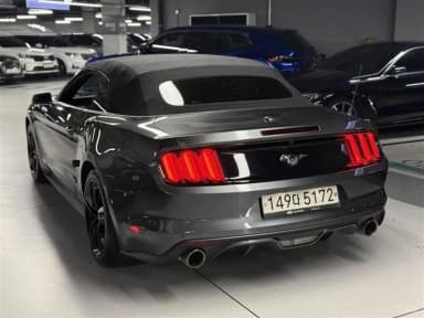 Mustang