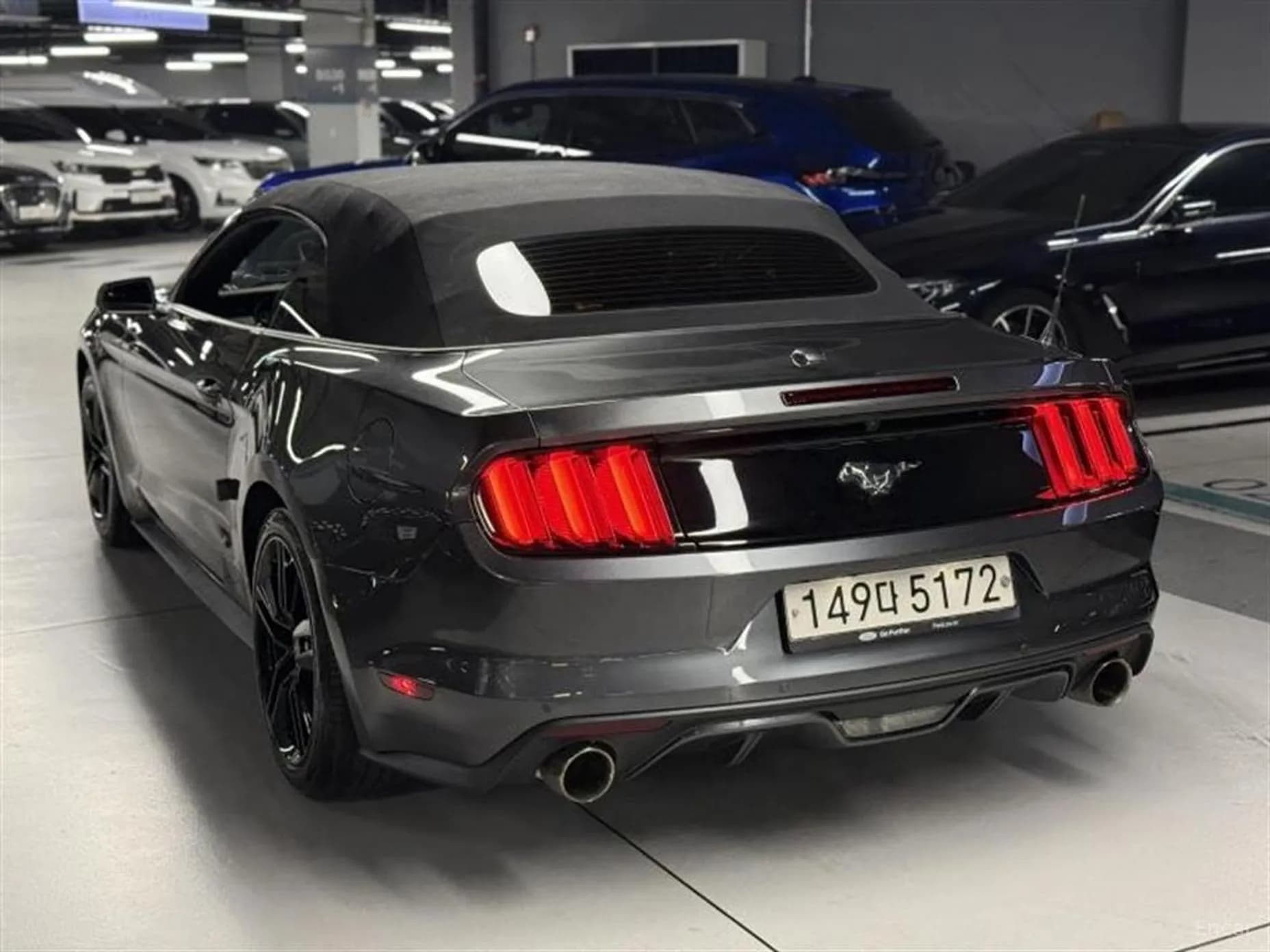 Mustang
