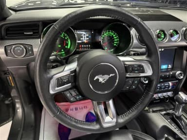 Mustang