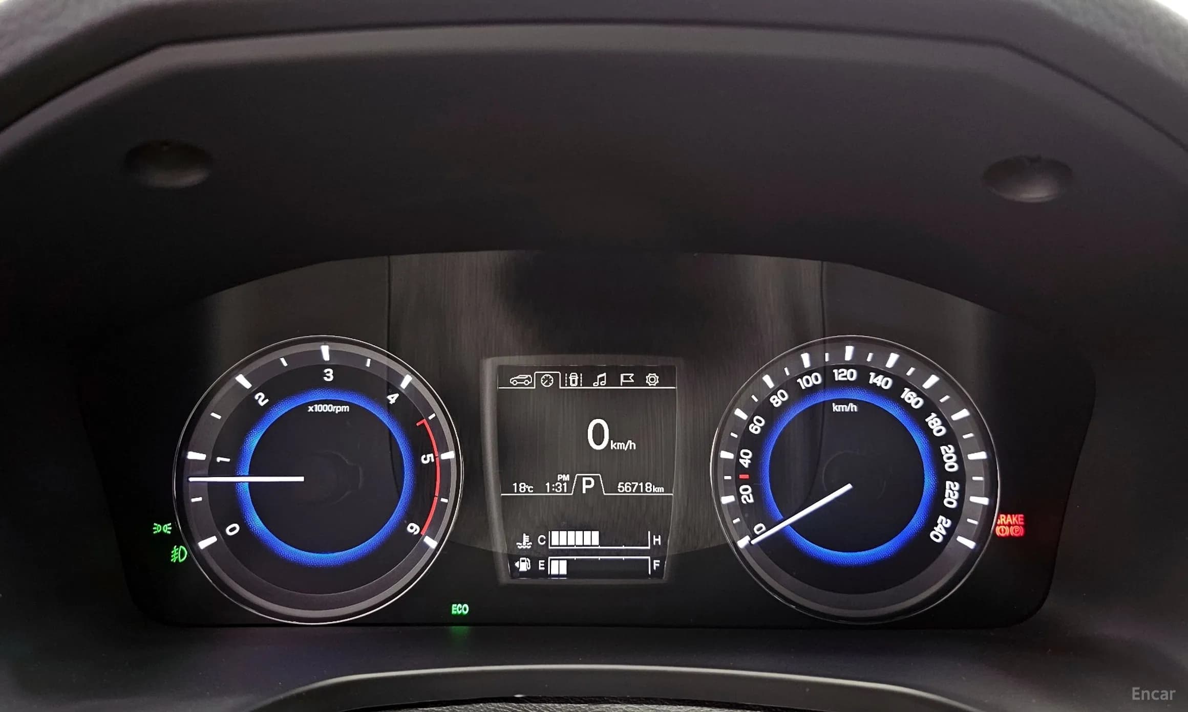 Rexton Sports