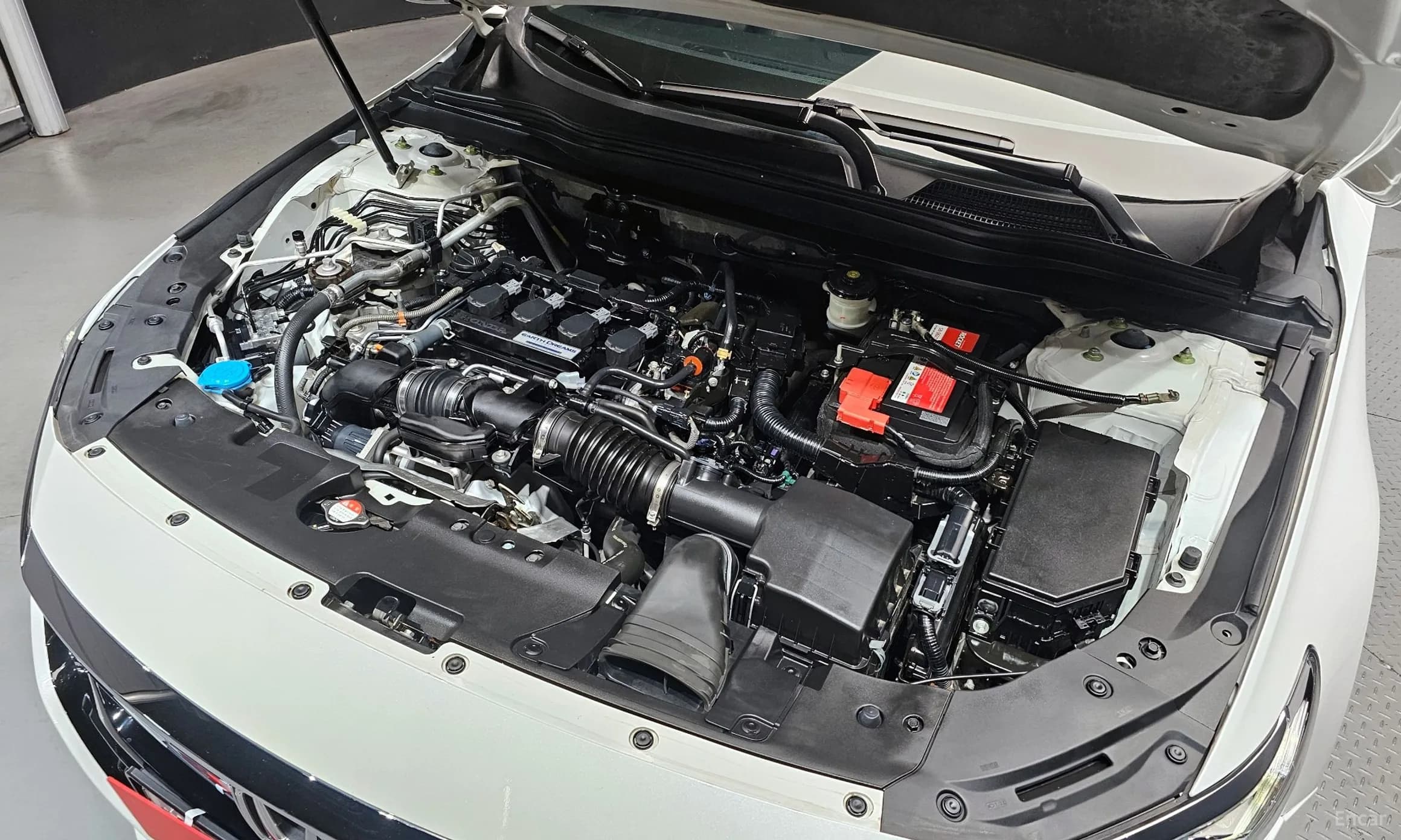 Accord 10th Generation