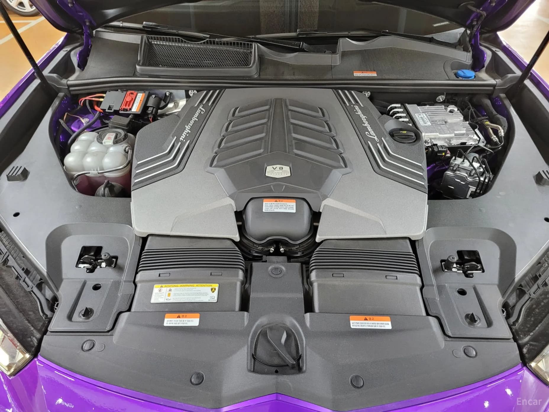 Urus