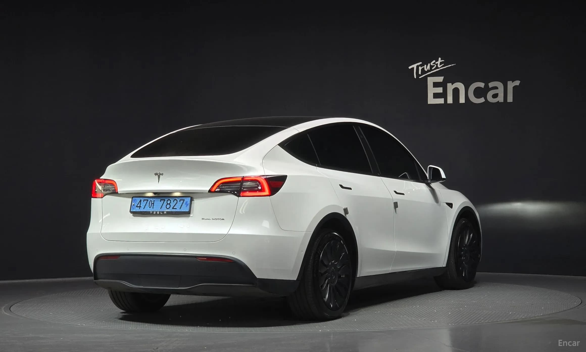 Model Y