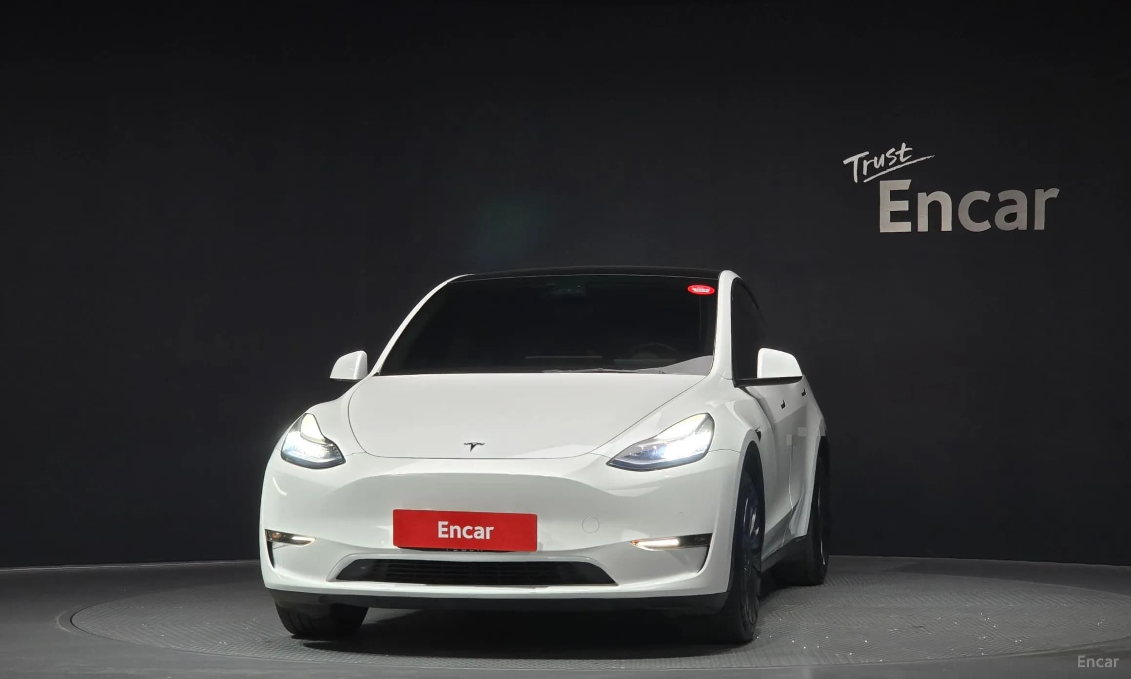Model Y