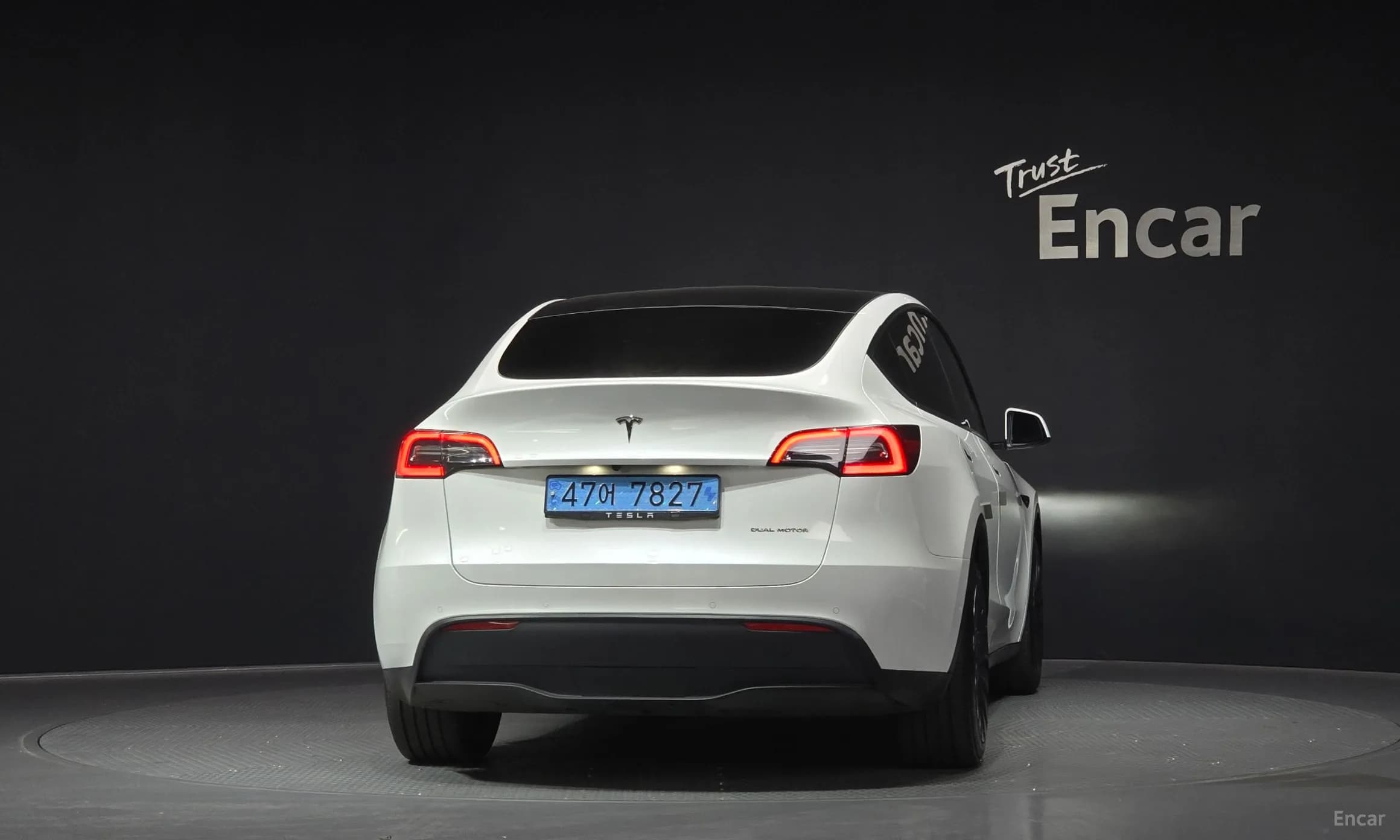 Model Y