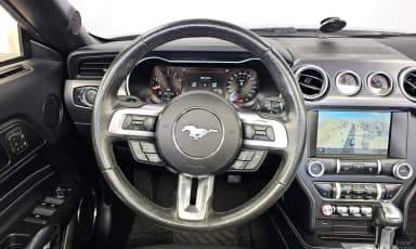 Mustang