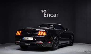 Mustang