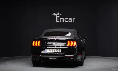 Mustang