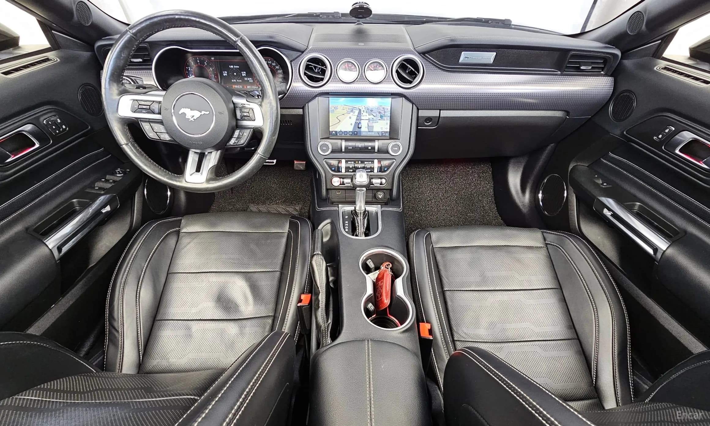 Mustang