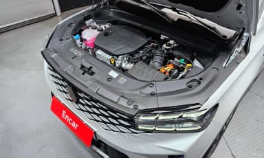 Grang Koleos