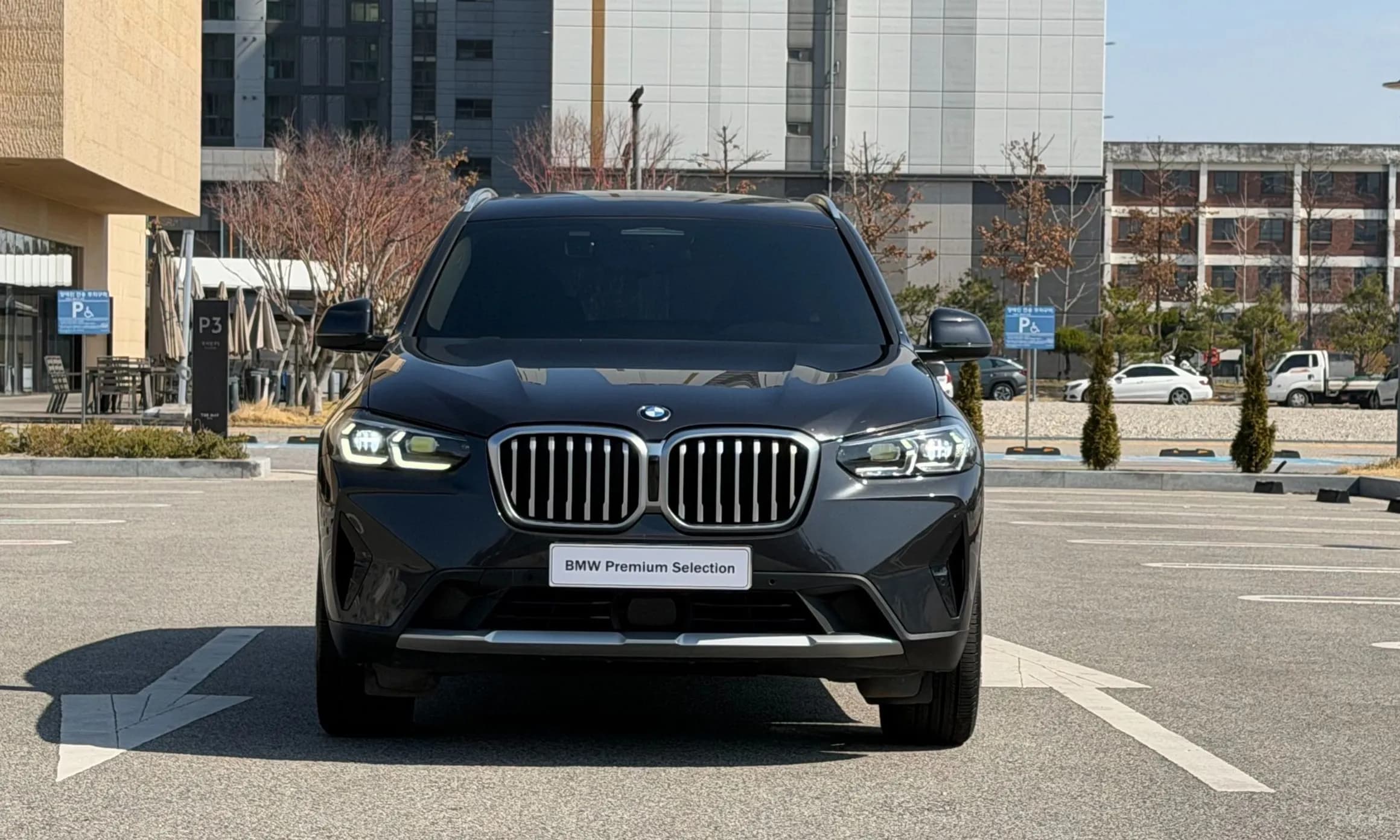 X3 (G01)
