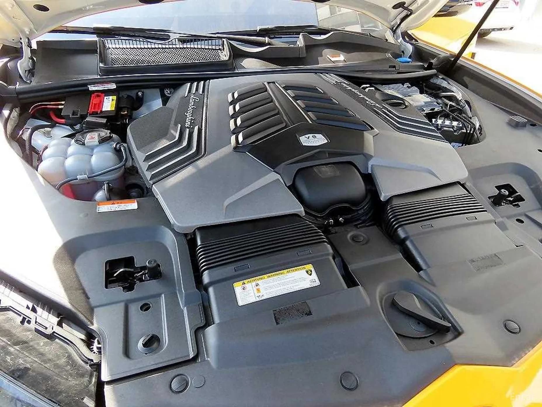 Urus