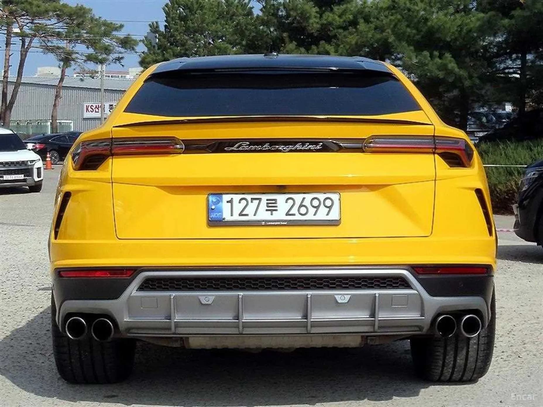 Urus
