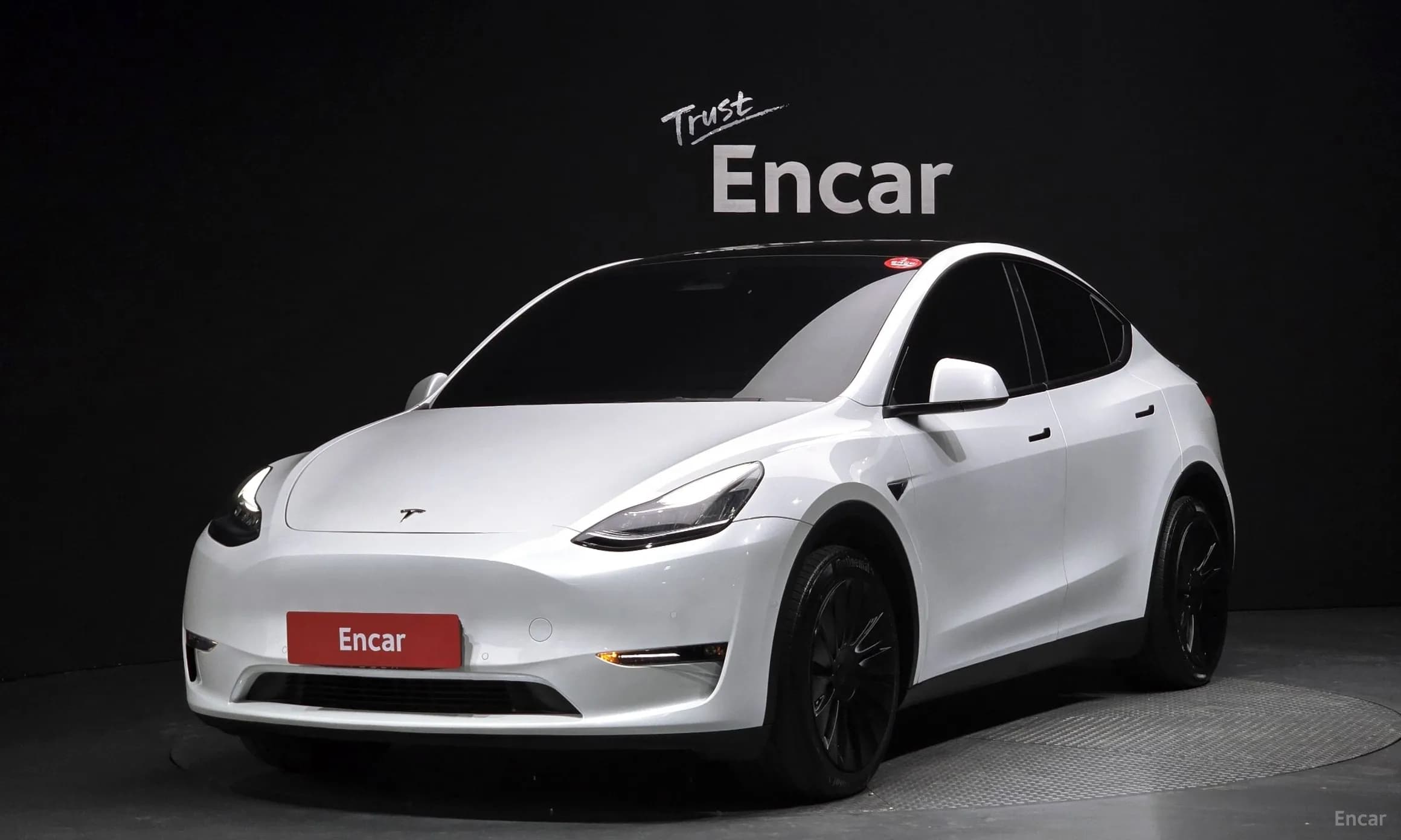 Model Y