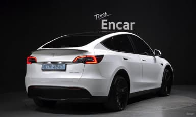 Model Y