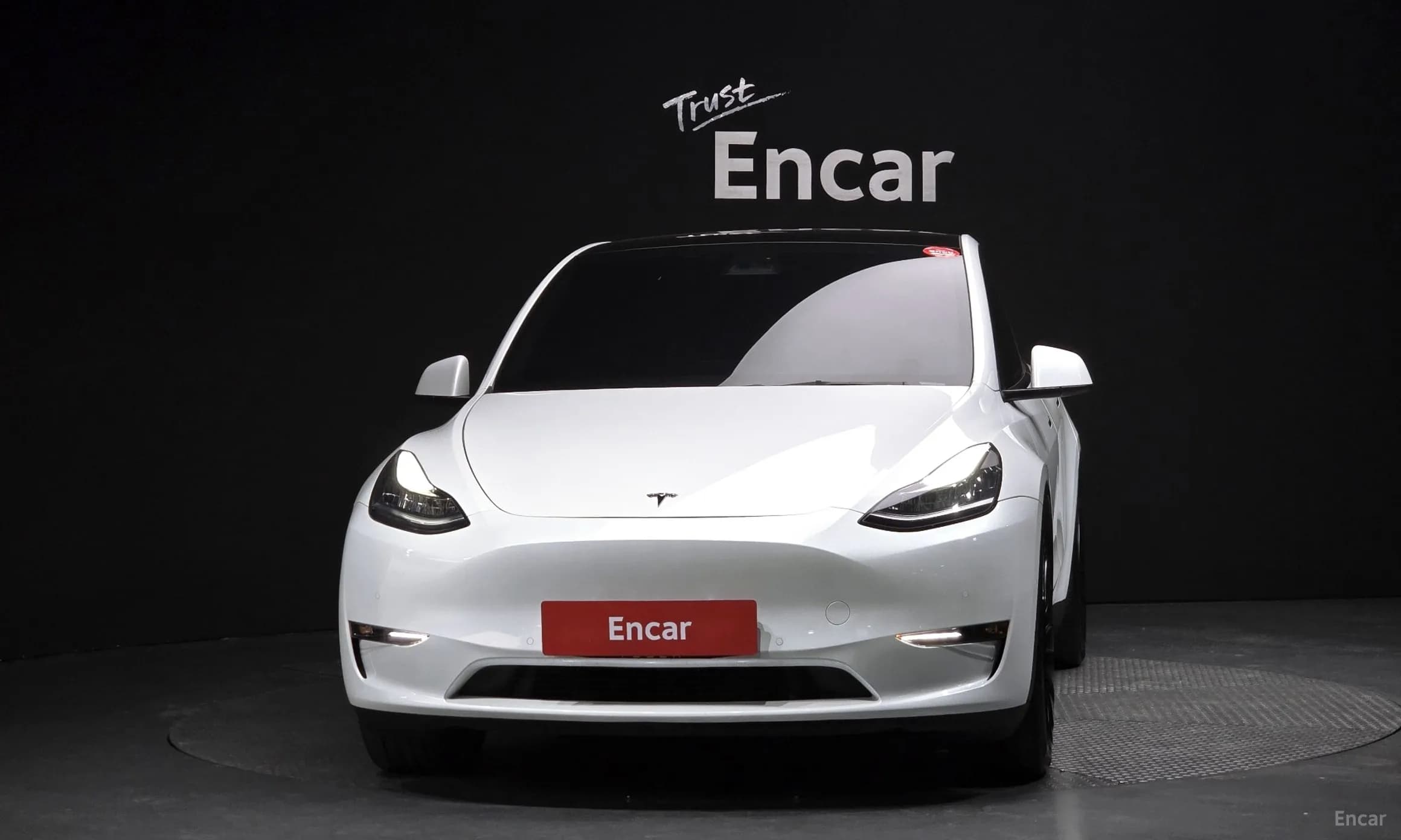 Model Y
