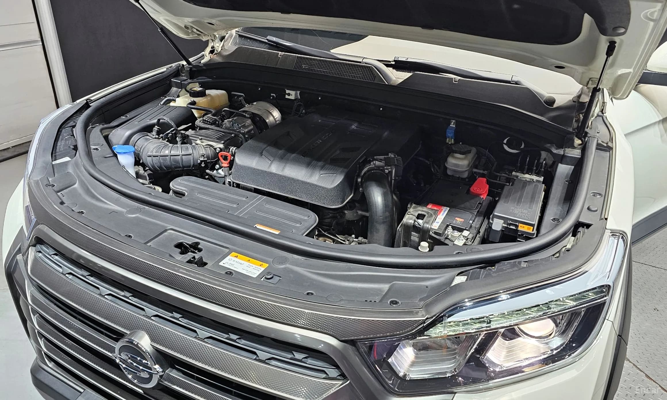 Rexton Sports