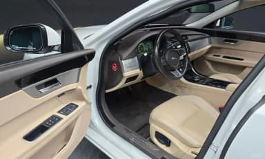 XF (x260)
