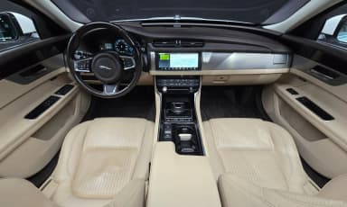 XF (x260)