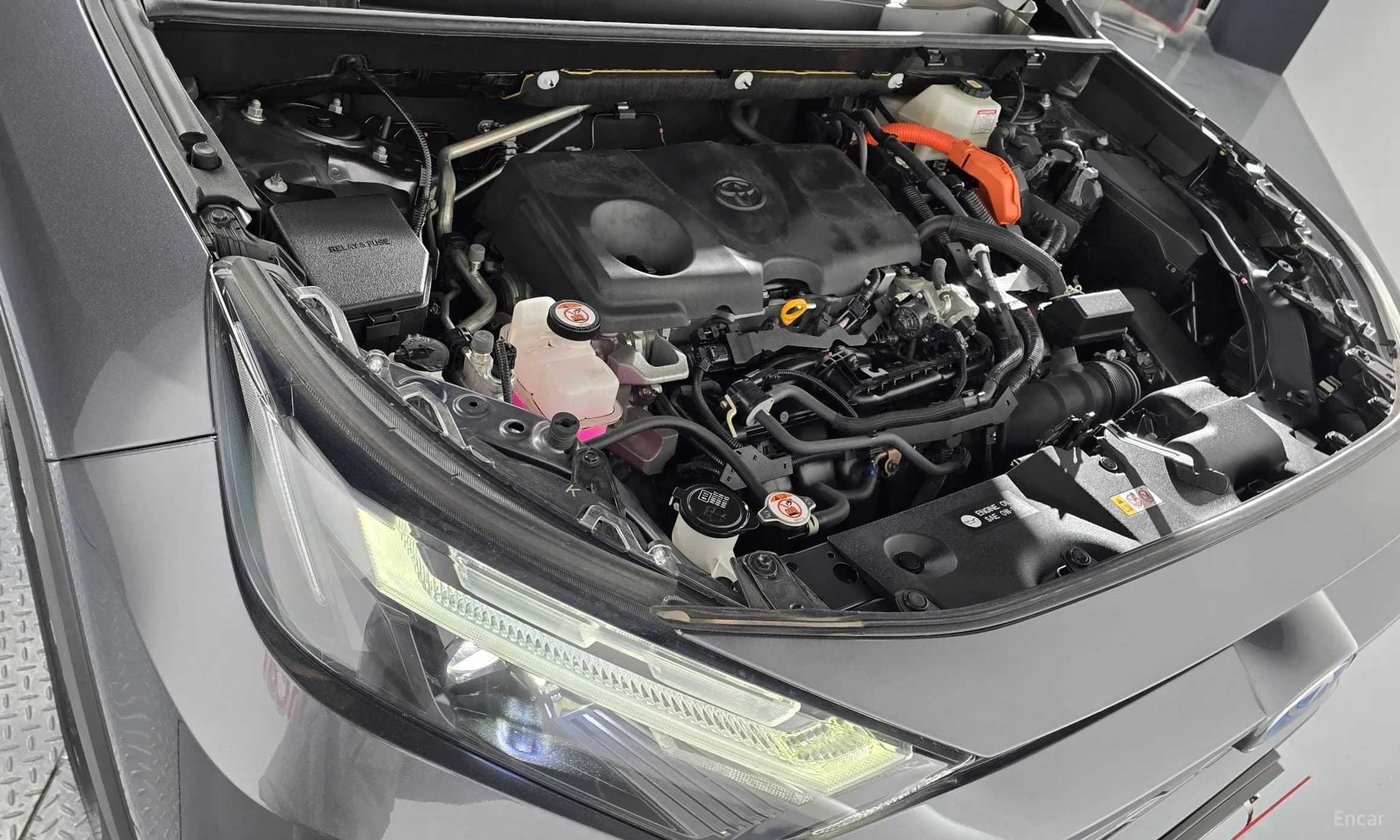 RAV4 5th Generation