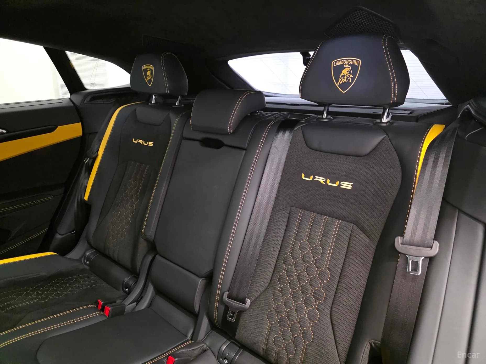 Urus