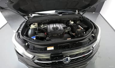 Rexton Sports