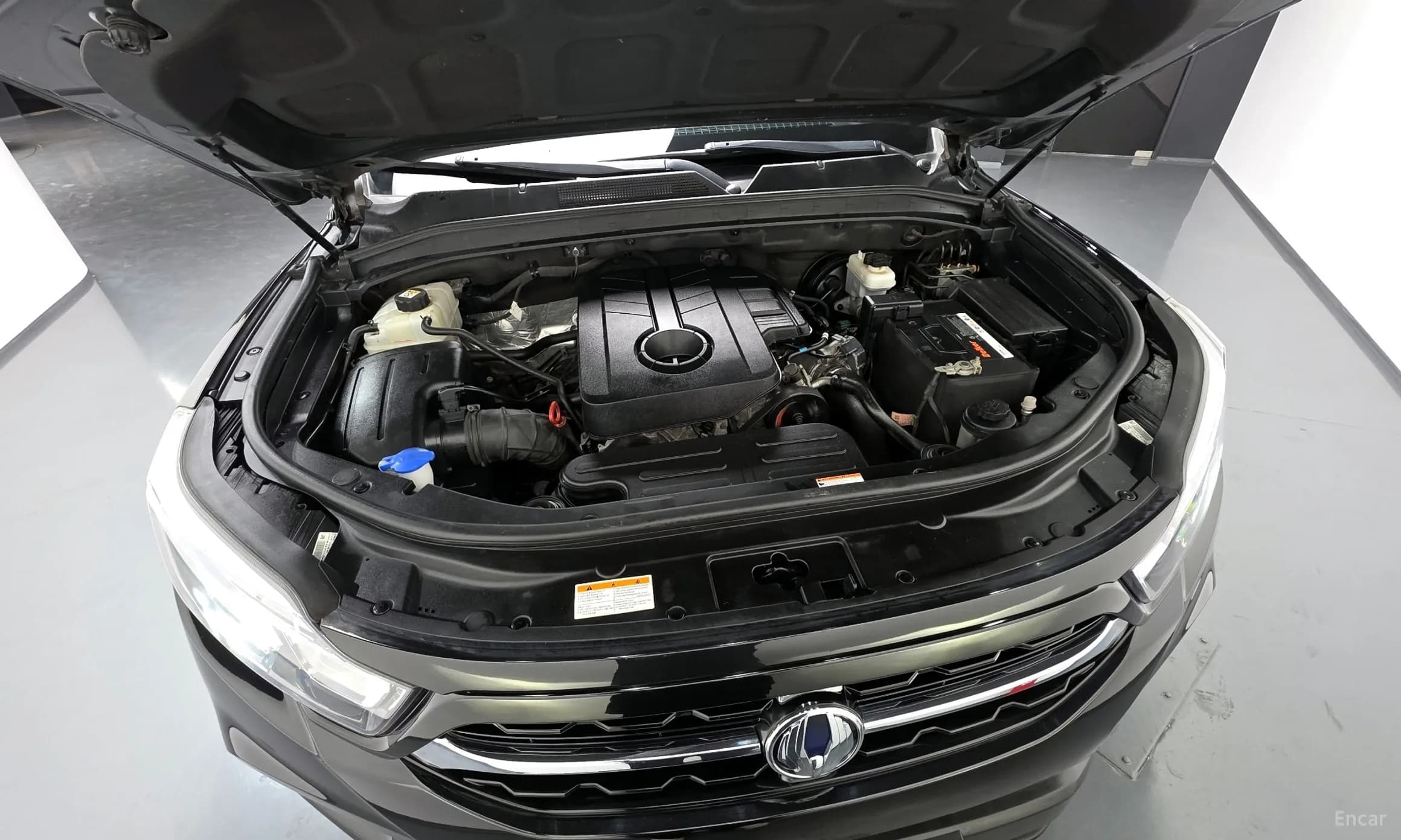 Rexton Sports