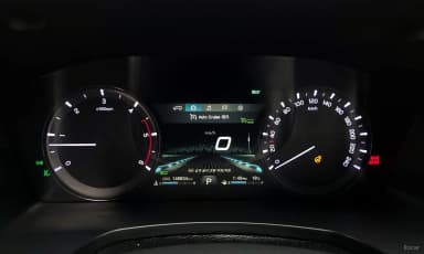 Rexton Sports