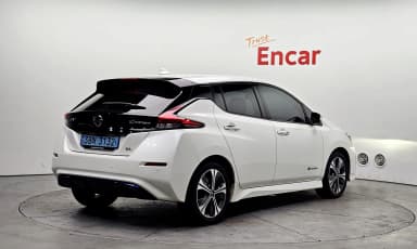 Leaf (ZE1)