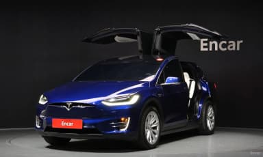 Model X