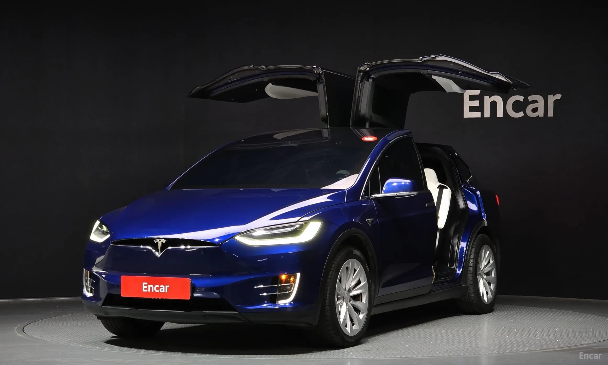 Model X