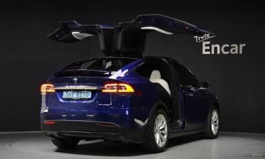 Model X