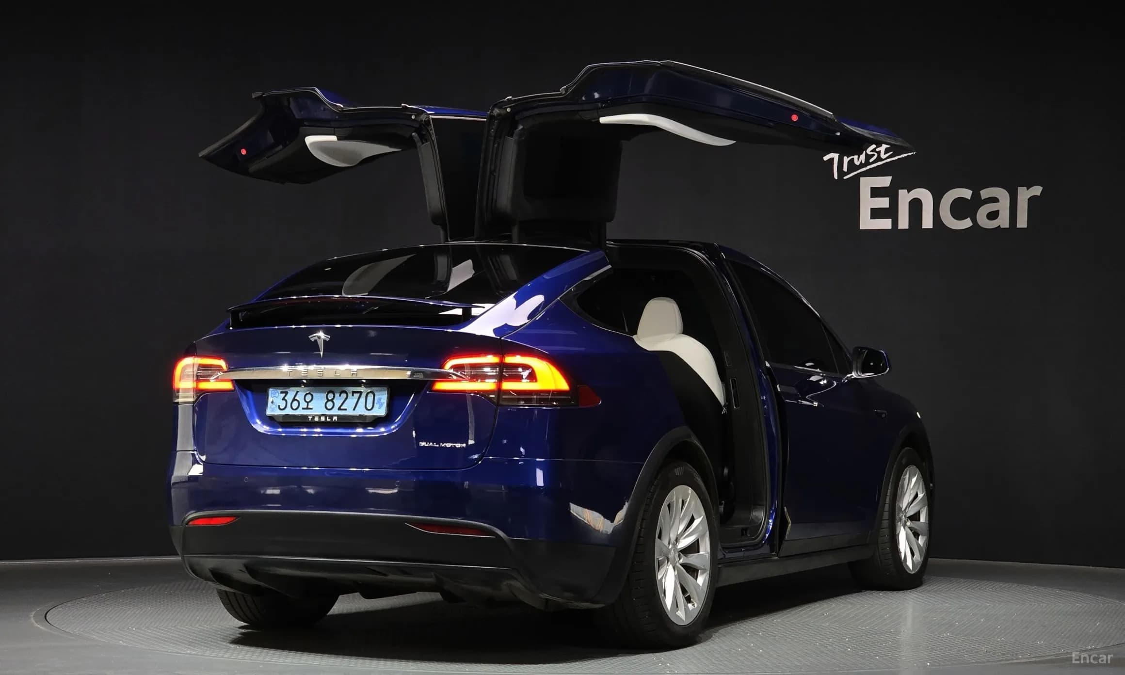 Model X