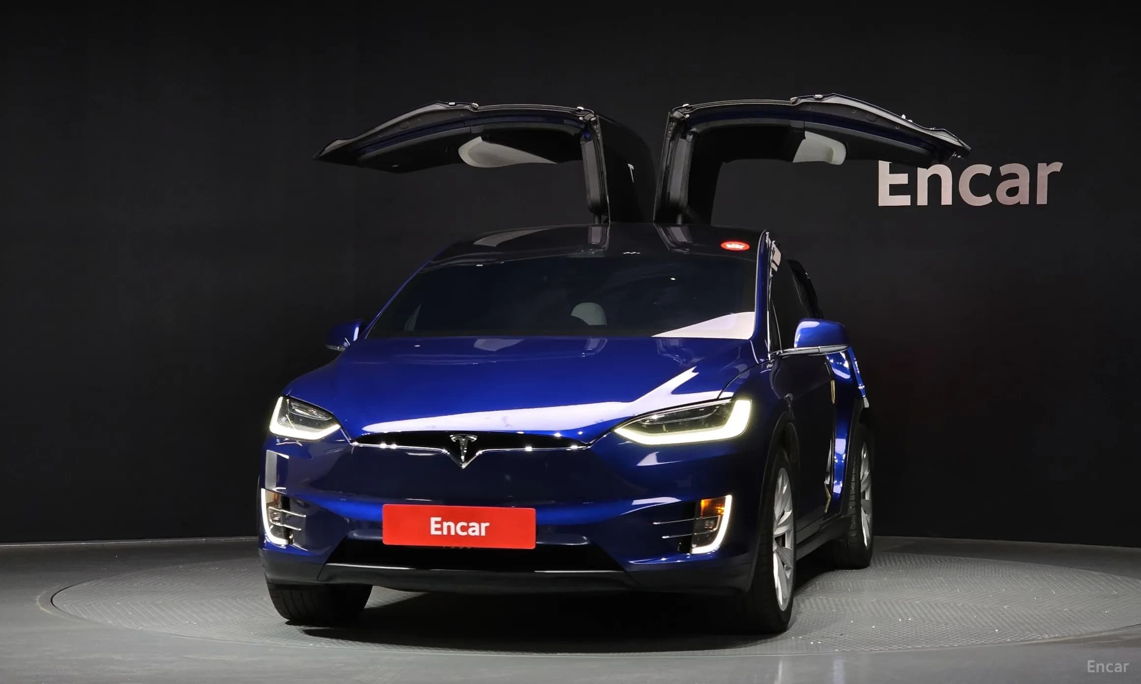 Model X