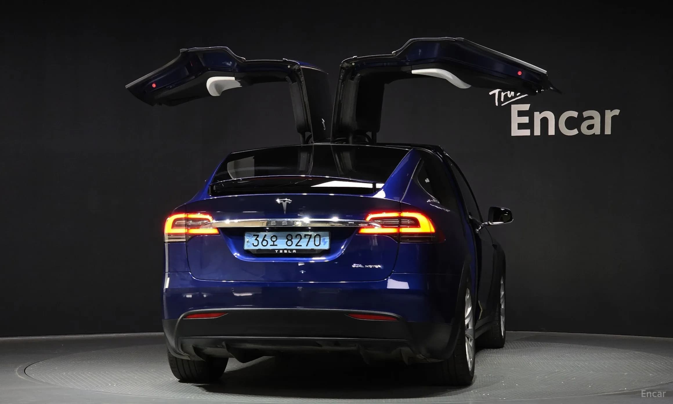 Model X