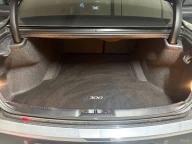 The New 300C
