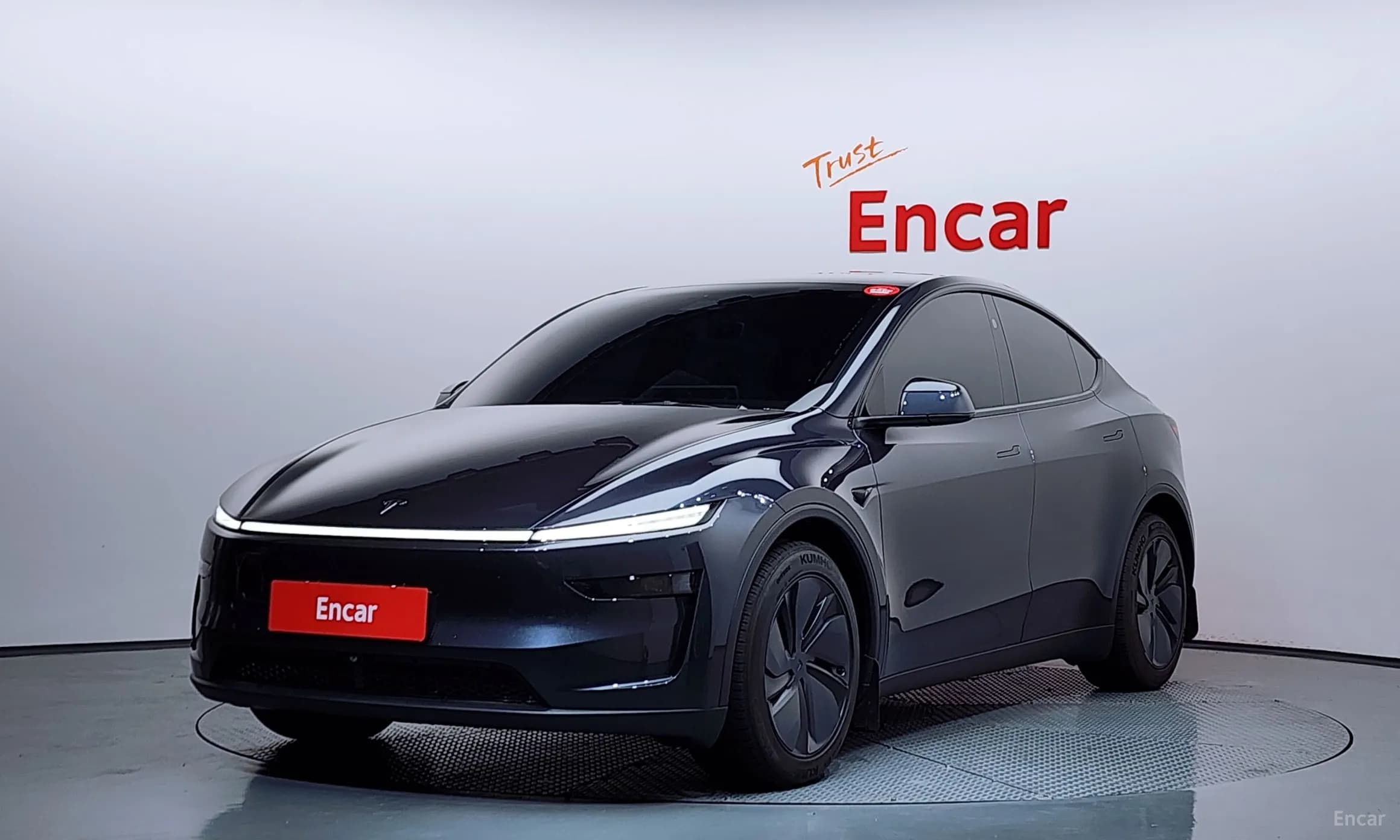 Model Y