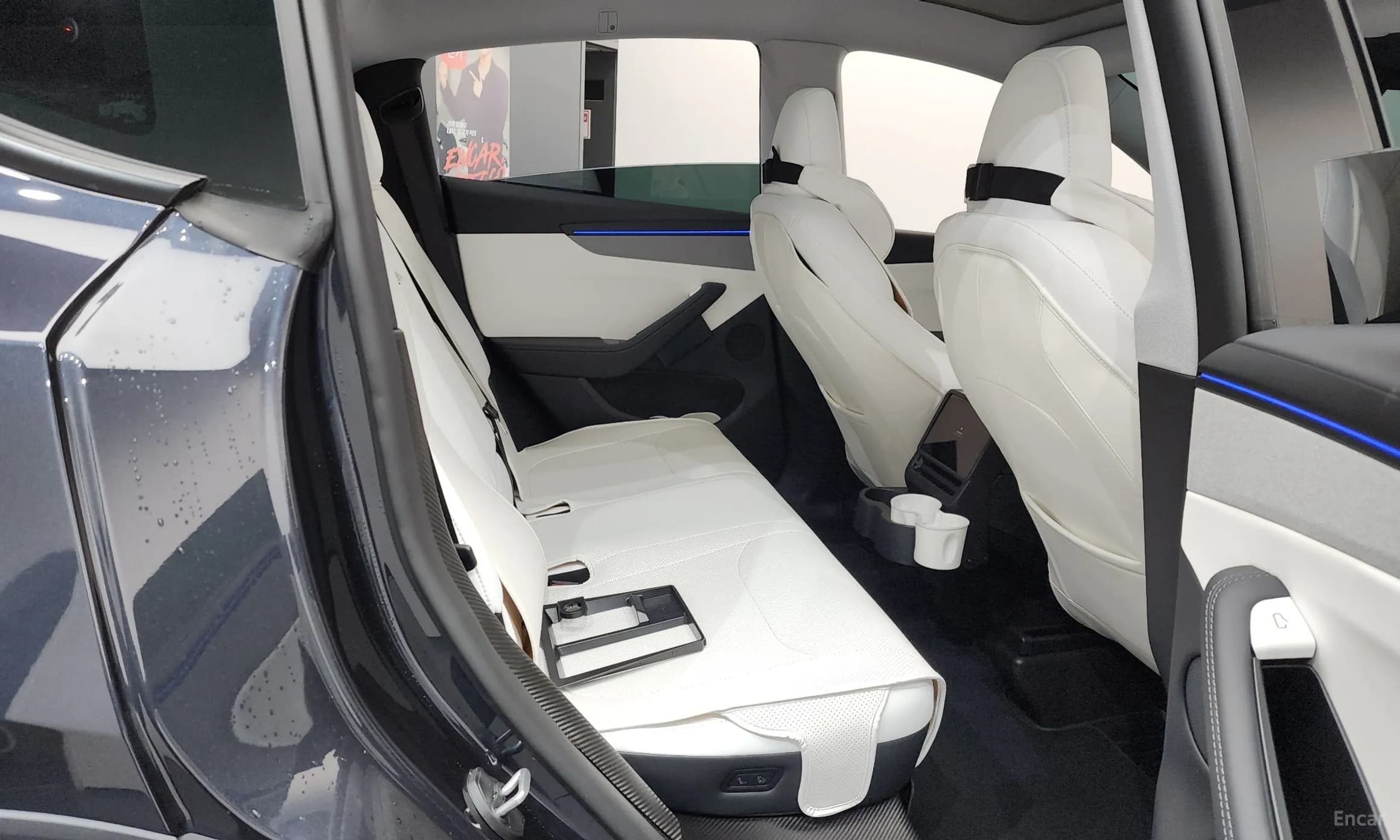 Model Y