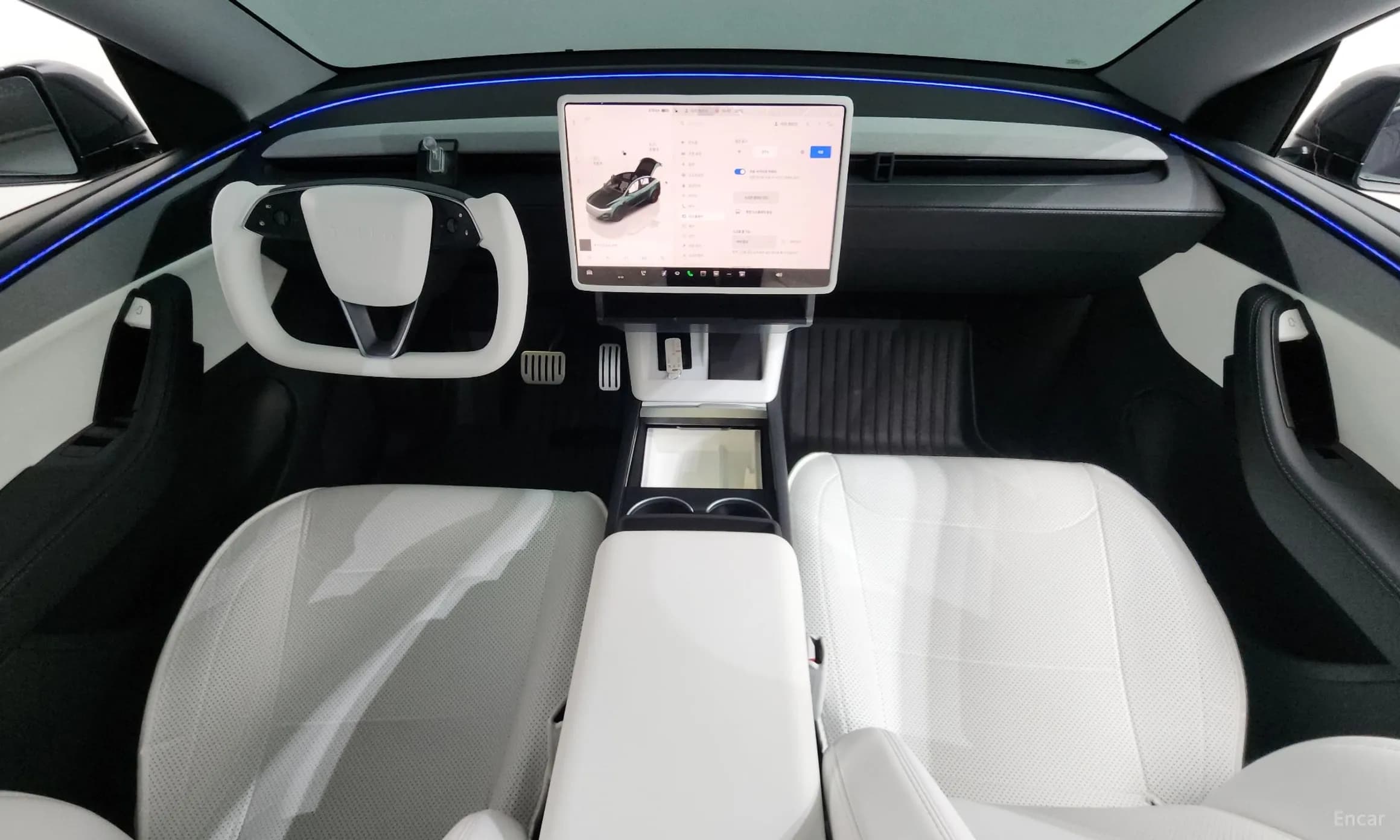 Model Y