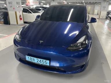 Model Y