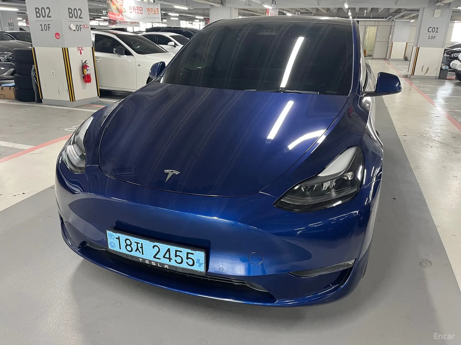Model Y