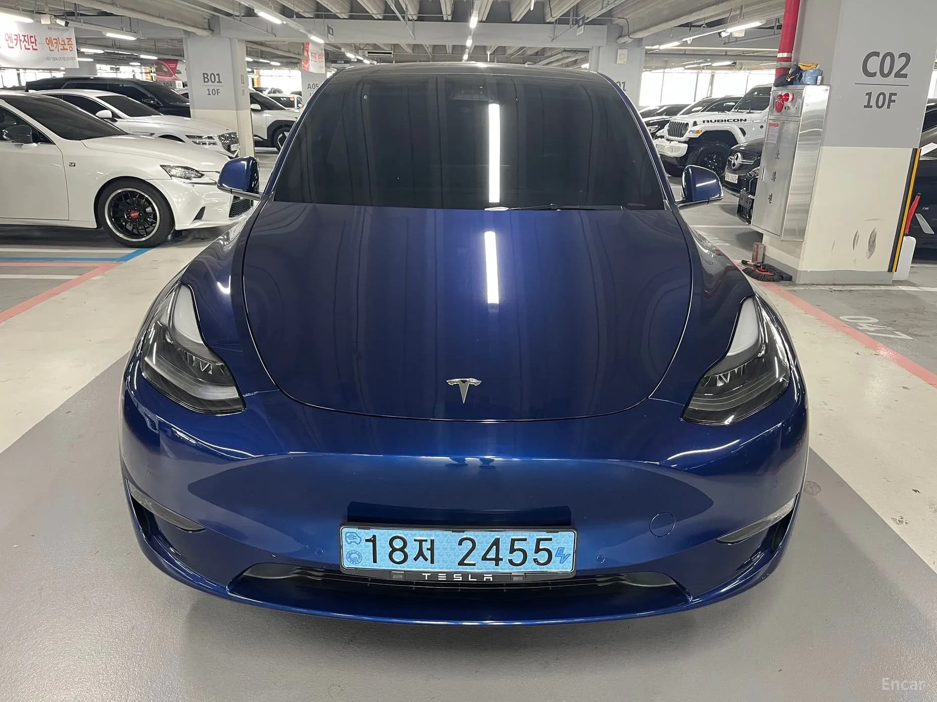 Model Y