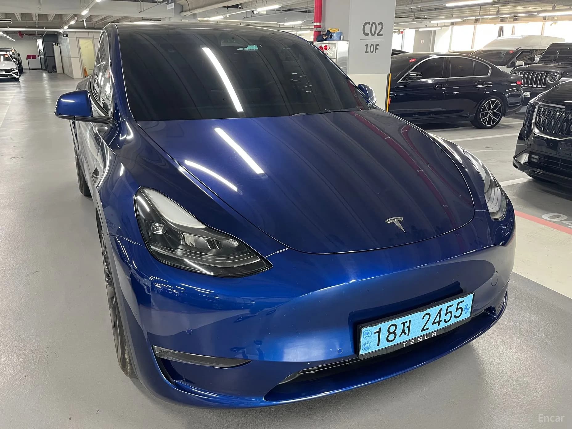 Model Y
