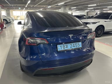 Model Y