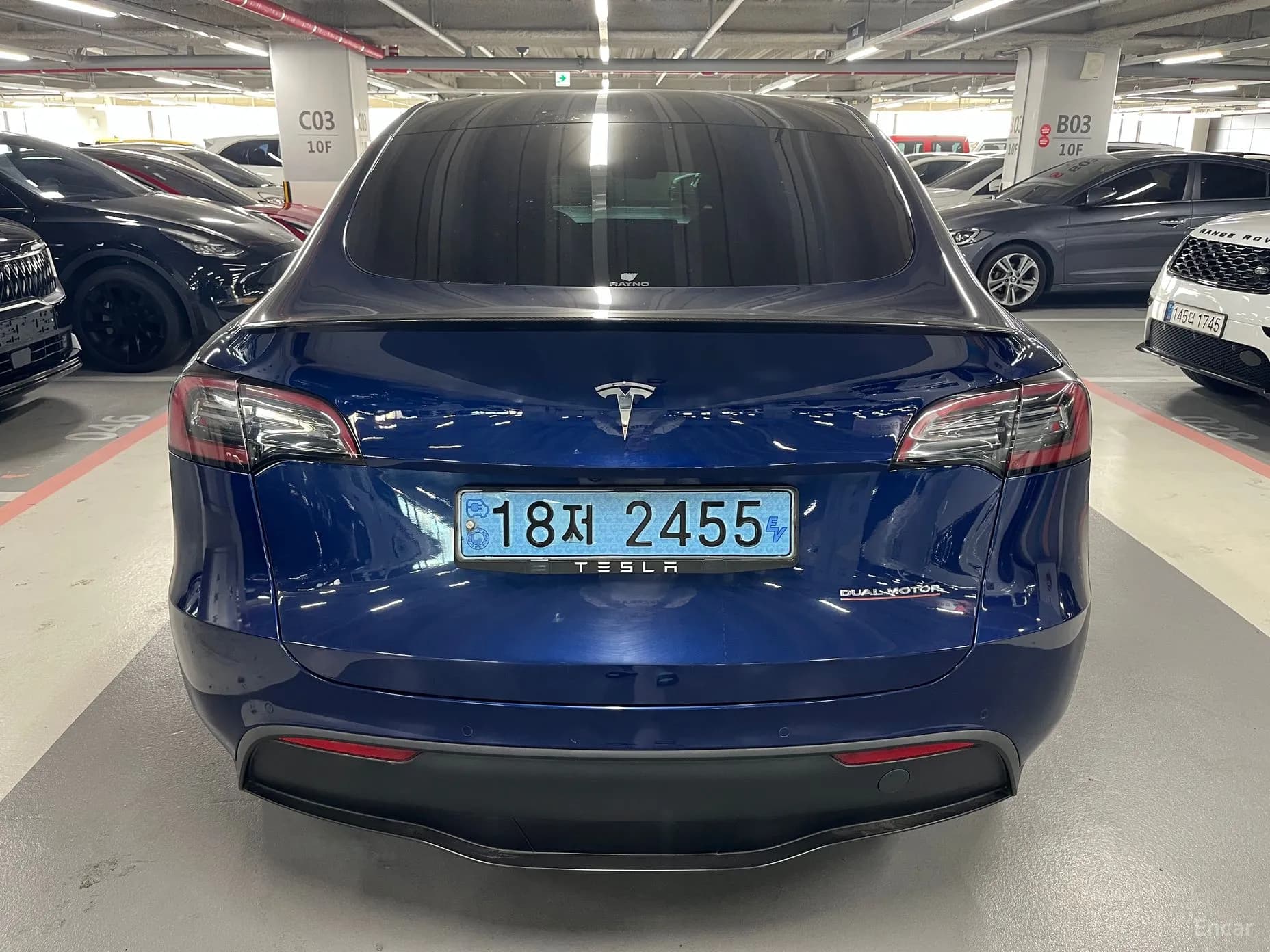 Model Y