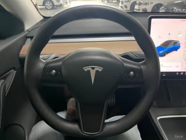 Model Y